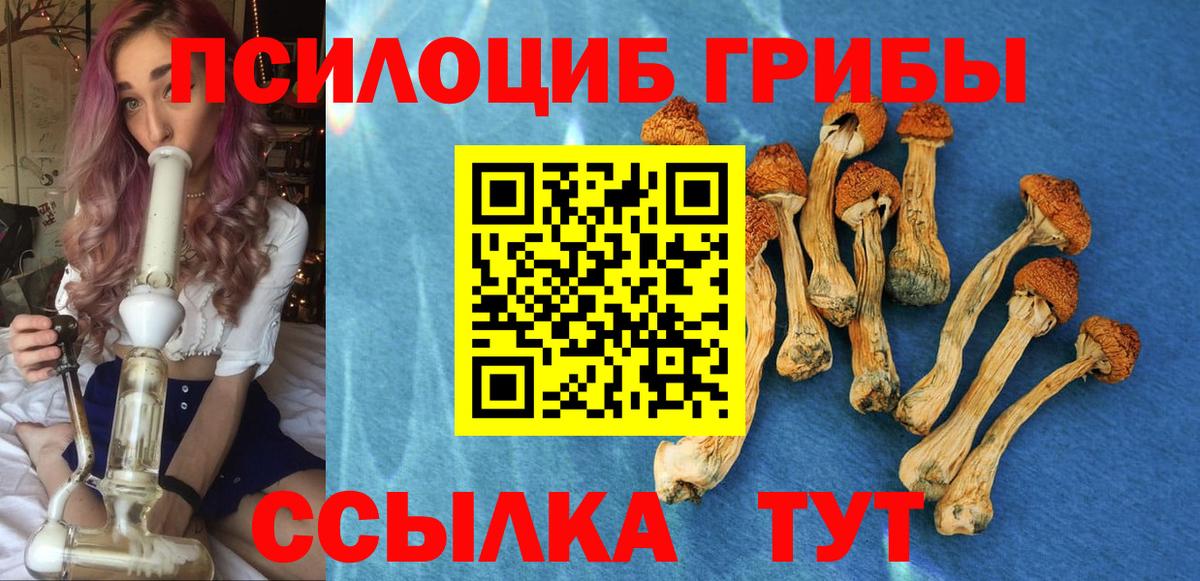 Галлюциногенные грибы Psilocybe Кинель